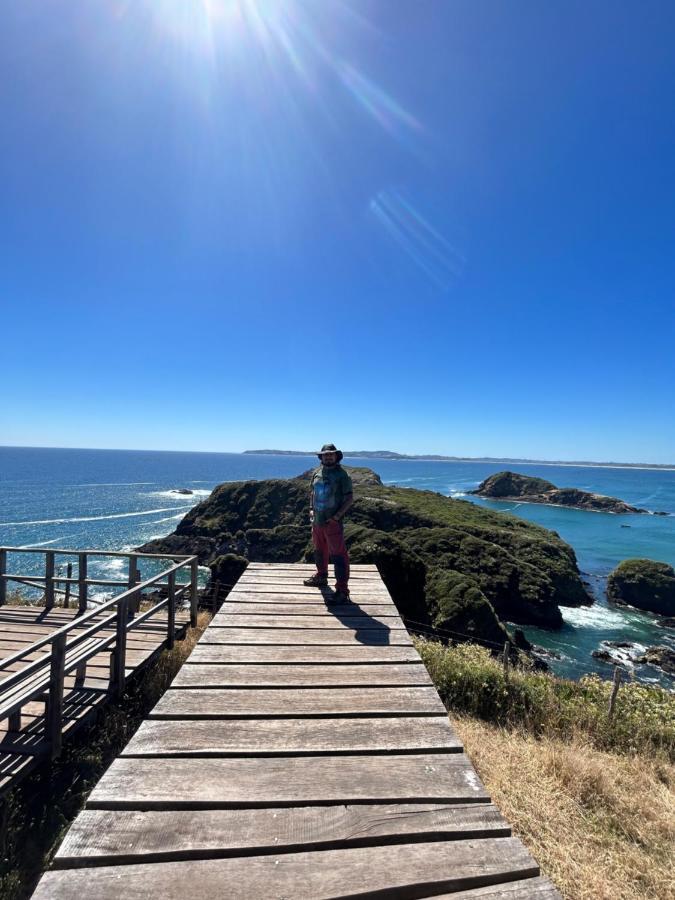 Hotel Purple Fox Ancud Zewnętrze zdjęcie