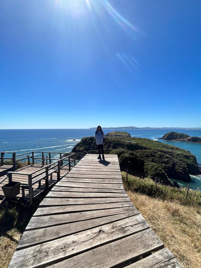 Hotel Purple Fox Ancud Zewnętrze zdjęcie